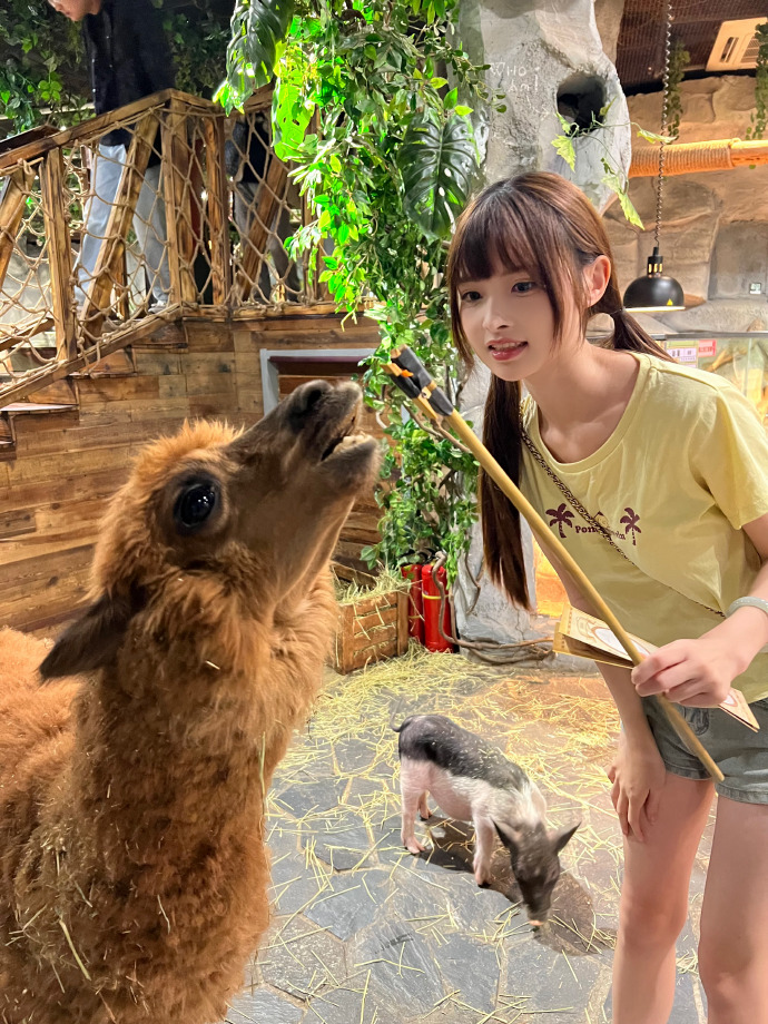 苍鹭与少年 封面